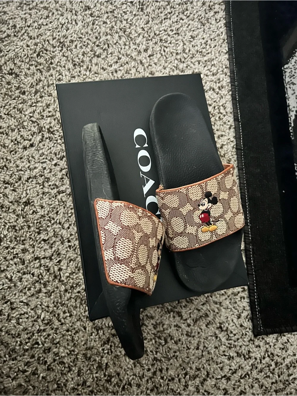 Coach shoe box
